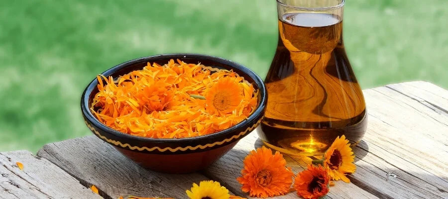 Aynısefa Yağı (Kalendula Yağı) Ne İşe Yarar? Nasıl Kullanılır?