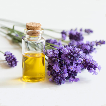 Lavender Essential Oil 1 Liter 100% Natural and Pure